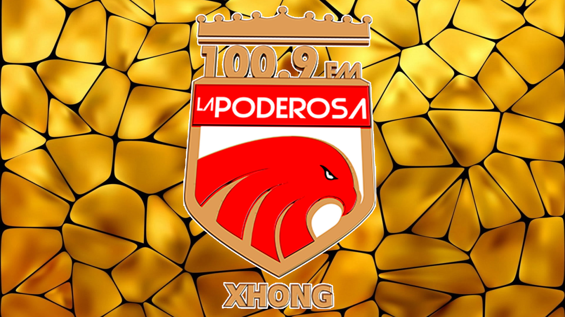 XHONG La Poderosa 100.9 FM